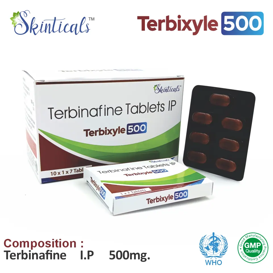 Terbinafine 500mg at the best price in PCD Pharma Franchise for Antifungal and Fungal Infection Treatment